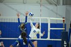 VB vs Salve  Wheaton Women’s Volleyball vs Salve Regina University. : volleyball